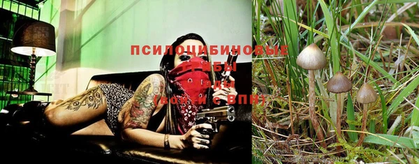 кокс Абдулино
