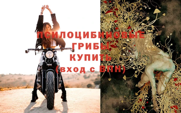 шишки Абинск