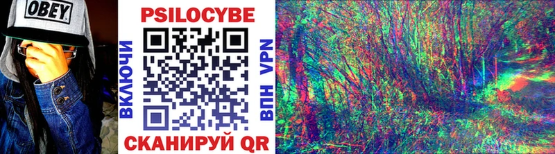 Галлюциногенные грибы Cubensis  блэк спрут как войти  Магнитогорск 