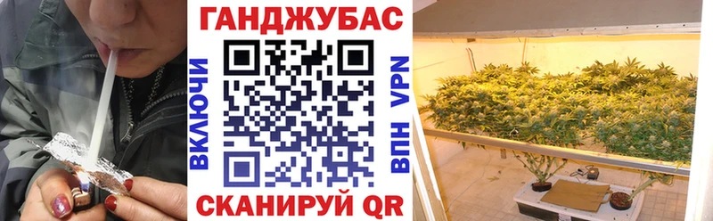 Каннабис планчик  продажа наркотиков  блэк спрут ТОР  Магнитогорск 